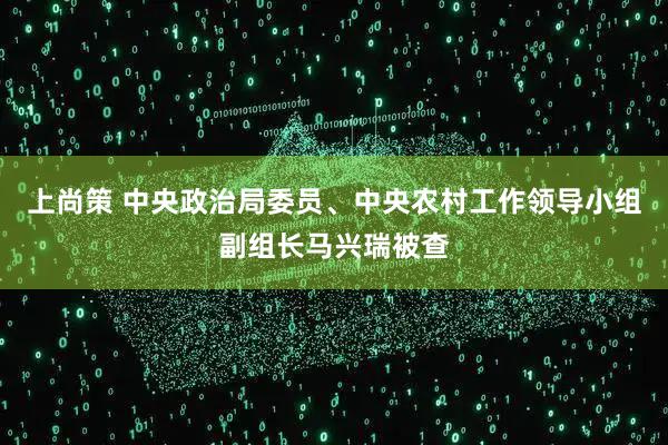 上尚策 中央政治局委员、中央农村工作领导小组副组长马兴瑞被查