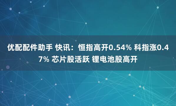 优配配件助手 快讯:恒指高开0.54% 科指涨0.47% 芯片股活跃 锂电池股高开